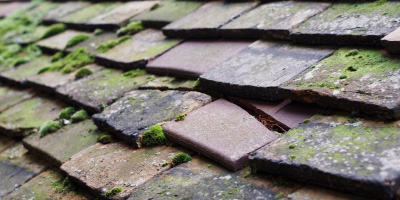 Lower Lydbrook roof repair costs
